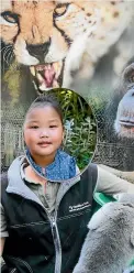  ??  ?? Claire Jun, 3, looks through a cutout poster of some of the animals at the zoo.