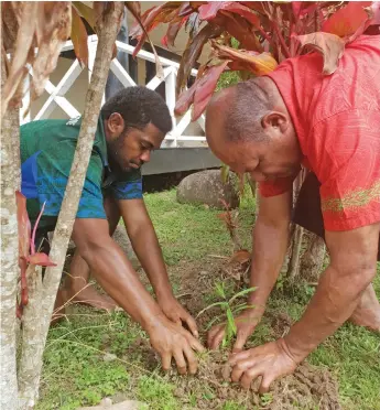  ?? Photo: Ministry of Forests ?? Minister for Forests Osea Naiqamu (right), with a forestry officer planting a tree on Yanuca Island in Cuvu on September 13, 2019.