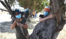  ?? (Ronen Zvulun/Reuters) ?? ISRAELIS FIND comfort in tree hugging in Apollonia National Park, near Herzliya this week.