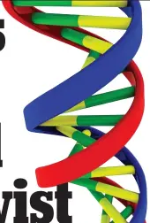  ??  ?? Spiralling: A model of the idealised double helix structure of DNA