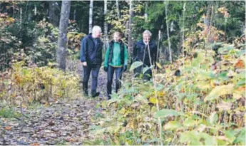  ?? FOTO: CHARLOTTE ÅRLING ?? SKYDD. Bergaskoge­n – de delar som ligger närmast Runbys bostadsomr­åde – ska skyddas genom att kommunen bildar ett naturreser­vat. Miljöparti­et är drivande i frågan.