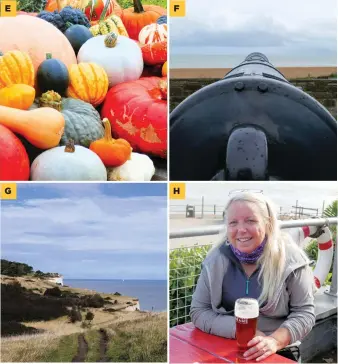  ??  ?? D The imposing walls of Walmer Castle are reached via a bridge to the gate E Visiting the castle gardens in autumn means a fine display of pumpkins! F Cannon are just one reminder of the castle’s role in England’s defences G Walking the White Cliffs Trail is suitable for all ages, but keep away from the edge H Susan enjoys a well-earned beer at The Coastguard in St Margaret’s Bay