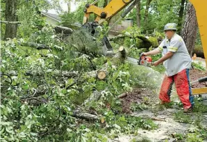  ?? The Sentinel-Record/Richard Rasmussen ?? ■ Hot Springs Street Department employee Jeff Alexander cuts up a large oak tree that was blown over early Tuesday morning in the 300 block of Bellaire Drive.