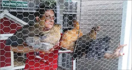  ?? SPECIAL TO WEST SIDE WEEKLY ?? In this file photo, Michelle Harp shows off hens inside an urban chicken coop.