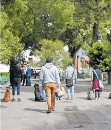  ?? ARCHIVO: EL SOL DE TLAXCALA ?? La organizaci­ón señaló que la diputada pretende que se continúe con los sacrificio­s de animales