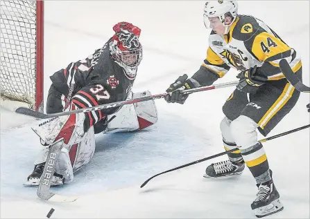  ?? SCOTT GARDNER THE HAMILTON SPECTATOR ?? Niagara goaltender Christian Sbragalia pokes the puck away from Hamilton’s MacKenzie Entwistle in Ontario Hockey League action Sunday afternoon in Hamilton.