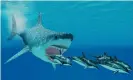  ?? Photograph: Corey Ford/Alamy Stock Photo ?? Formally known as Otodus megalodon, megalodons rank among the largest carnivores in the history of life on Earth.
