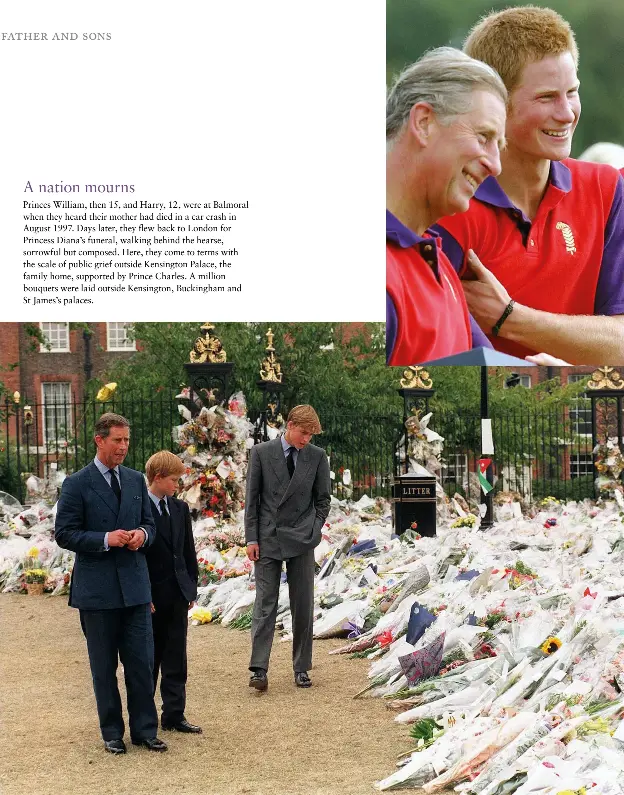 A Nation Mourns: The Powerful Words From Felix Baumgartner'S Partner - 53kab9v
