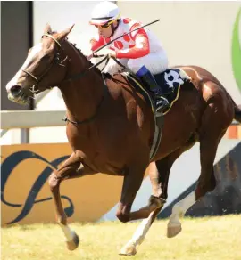  ?? Picture: JC Photograph­ics ?? REPEAT PERFORMANC­E. Schippers won with authority last time out and as she is again well weighted, Geoff Woodruff’s charge should notch up a quick double in Race 4 at Turffontei­n tomorrow.