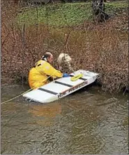 ?? COURTESY CHIEF ROBERT ROSS ?? Sophie is rescued during a storm.