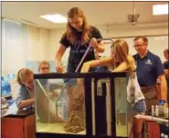  ??  ?? The students begin to place the coral rocks into their aquatic environmen­t as Gary Jones of Mars Fishcase looks on.