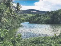  ?? MAURA JUDKIS/WASHINGTON POST ?? A pond glistens at Plage de la Grande Anse on Basse-Terre.