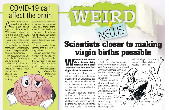 Scientists closer to making virgin births possible - PressReader