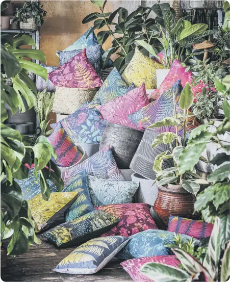  ?? ?? Clarissa Hulse selection of vibrant cushions, Clarissa Hulse.