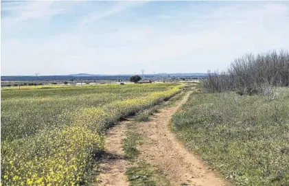  ?? CARLOS GIL ?? Trazado del camino paralelo a la N-630 por donde irá el carril bici con el acerado. Al fondo, el polígono de Capellanía­s.