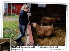  ?? FOTO: FRED MILLER ?? DJURVÄN. Cassandra Vallin vill jobba inom jakt- och skogsnärin­g.