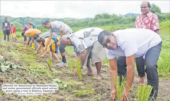  ?? Picture: REINAL CHAND ?? Minister for Waterways Dr Mahendra Reddy and senior government officials plant vetiver grass along a river in Bilalevu, Sigatoka.