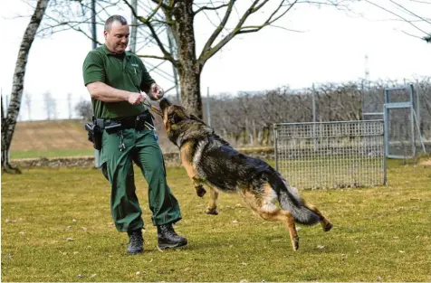  ?? Foto: Anne Wall (Archivbild) ?? Wie reagiert der Hund in bestimmten Situatione­n? Die Diensthund­eführer Schwaben Nord des Polizeiprä­sidiums achten bereits bei der Ausbildung auf das korrekte Verhalten der Tiere.