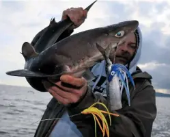  ??  ?? Left: A cracking spurdog for Troy Laing, of Ilfracombe
Below: The inner and outer harbour at Ilfracombe
Right: Kevin Pike with Bluefin’s best spur of the year at 21lb 10oz
Top right: John Barbeary showing his pirk leger rig