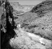  ?? ASSOCIATED PRESS ?? THIS SUNDAY, APRIL 16, PHOTO provided by the National Park Service shows Tapeats Creek in Grand Canyon National Park in Arizona. Authoritie­s are searching for Jackson Standefer, 14, and Lou-Ann Merrell, 62, after the pair lost their footing Saturday...