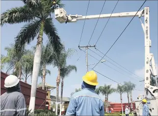  ?? ÁLEX LIMA / EXPRESO ?? Labor. Para evitar posibles daños en los cables, personal de CNEL podó las palmeras en Ciudad Celeste.