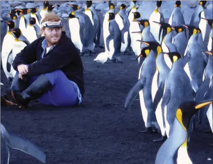  ?? PICTURE: OTTO WHITEHEAD ?? Nelson Mandela University senior zoology lecturer Dr Pierre Pistorius conducts research on king penguins at Marion Island. In 100 years’ time, the animals may have disappeare­d from the sub-Antarctic island, says the writer.