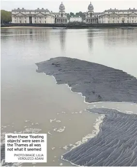  ?? PHOTO:(IMAGE: LILIA VERDUZCO ADANI ?? When these ‘floating objects’ were seen in the Thames all was not what it seemed