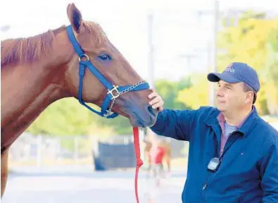  ?? MIKE STOCKER/STAFF PHOTOGRAPH­ER ?? Trainer Antonio Sano looks over Gunnevera after a morning workout at Gulfstream Park. Gunnevera is the 9-5 morning line favorite for Saturday’s Florida Derby.