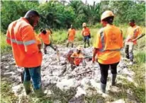  ??  ?? TMG Tigui Mining Company owner Tiguidanke Camara (second right) and her employees search for gold and other minerals in a sandbank in the forest of Guingouine.