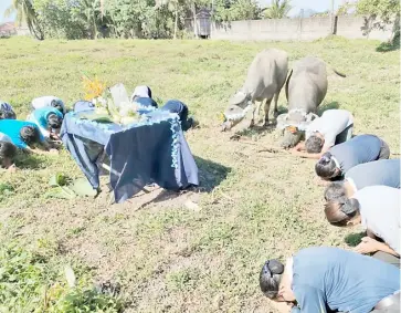  ?? PHOTOGRAPH COURTESY OF TZU CHI ORMOC ?? TZU Chi volunteers and two carabaos of a local farmer kneel and bow to the ground as part of the birthday ceremony for Dharma Master Cheng Yen at the DaAi Village in Ormoc City, Leyte.