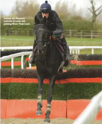  ??  ?? Jockey ian popham schools six-year-old gelding more Than luck