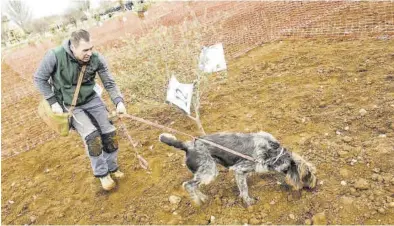  ?? JAIME ORIZ ?? Félix Peña y su perra Lima fueron los más rápidos en sacar una pieza.