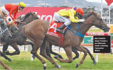  ??  ?? BIG CHANCE: Adam Trinder’s ace Silkstone made a winning Tasmanian debut.