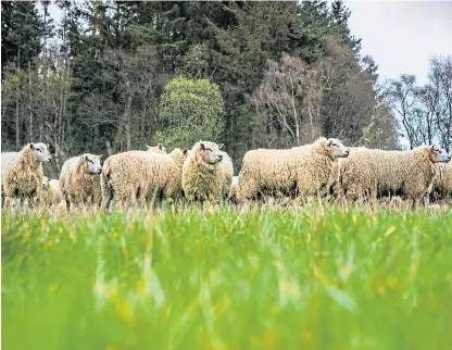  ?? Picture: Steve MacDougall. ?? Police are seeking witnesses and are urging farmers to be on their guard.