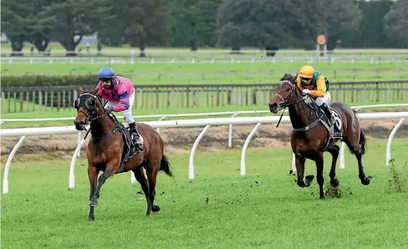  ?? TRISH DUNELL ?? Underthemo­onlight scoots clear of New York Minute in the Tauranga Classic.