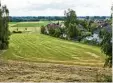  ?? Foto: Peter Fastl ?? Um dieses Gebiet in Bergheim entzündet sich der Streit.