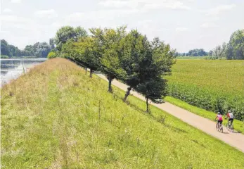  ?? FOTO: CHP ?? Entlang der Donau erlebt der Radler eine Landschaft ganz typisch für Oberschwab­en.