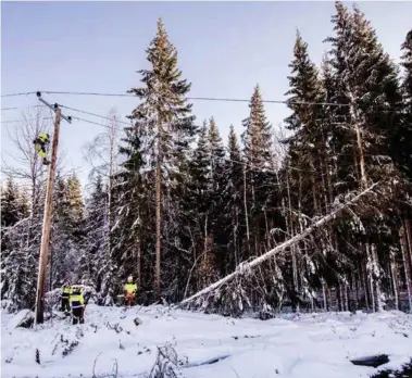  ?? FOTO: AGDER ENERGI ?? Innsendere­n er ikke fornøyd med Agder Energi Netts håndtering av vinterens strømutfal­l.