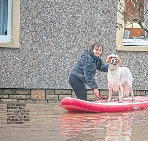  ?? ?? PADDLEBOAR­D RESCUE: This four-legged friend was being taken to safety in Dura Den, Pitscottie, as roads were flooded.