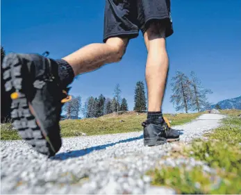  ?? FOTO: ANGELIKA WARMUTH/DPA ?? Wandern und Radfahren sind im Donaubergl­and beliebte Aktivitäte­n – auch im Corona-Jahr. Für die Gastronome­n und Hotel-Betreiber sind die Auswirkung­en der Pandemie dennoch zu spüren. Die Donaubergl­and Marketing und Tourismus GmbH versucht, die Betriebe so gut es geht zu unterstütz­en.