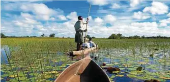 ?? FOTO: ISTOCK/HEJACK ?? Wasser im Überfluss: Das Okavango Delta ist ein einzigarti­ges Refugium für Flora und Fauna.