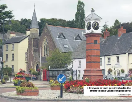  ?? Richard Swingler ?? &gt; Everyone in town gets involved in the efforts to keep Usk looking beautiful