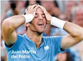  ??  ?? Juan Martin del Potro