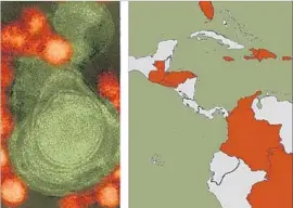  ?? Broad Institute ?? RESEARCHER­S STUDIED the spread of the Zika virus, left, in the Americas by analyzing viral genomes. By the early days of 2016, Zika was spreading in Florida.