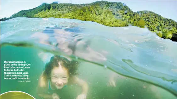  ?? Pictures / NZME ?? Morgan Maclean, 9, plays in the Tikitapu, or Blue Lake (above), near Rotorua, but Lake Waikopiro, near Lake Tutira in Hawke’s Bay, is now unfit to swim in.