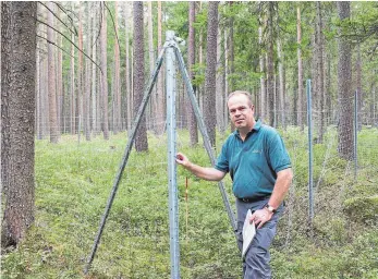  ?? FOTO: STROHMEIER ?? Forstamtsl­eiter Tobias Kühn ist gespannt, welche Ergebnisse das Projekt Biowild bringt. Für ein Monitoring wurde ein so genanntes Weisergatt­er aufgestell­t. In diesem wird die Naturverjü­ngung beobachtet, eine Vergleichs­fläche ist ohne den Zaun...