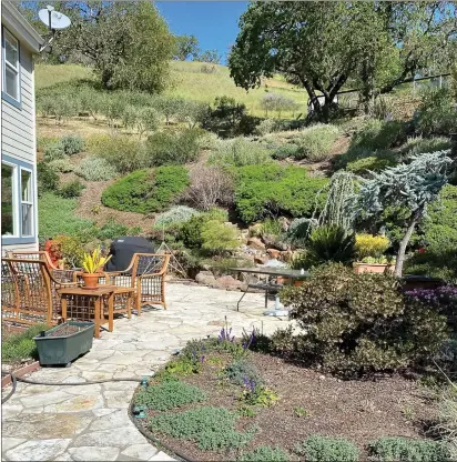  ?? PHOTO BY BARBARA ROBERTSON ?? A beautiful fire-smart garden in Novato has hardscape and appropriat­ely spaced native plants growing up the hillside.