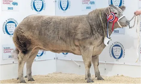  ?? ?? ABERDEEN CHRISTMAS CLASSIC: The overall beef cattle champion was Silver Belle, a Charolais cross heifer.