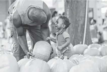  ?? Kirk Sides / Staff photograph­er ?? People associate pumpkins with jack-o'-lanterns and Thanksgivi­ng decoration­s, but they have many uses in the kitchen.