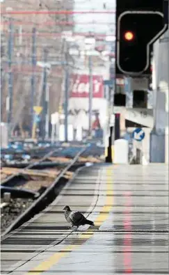  ?? Photo: AFP ?? Selon les grévistes, seulement un train sur deux circulait hier en Belgique causant d'importante­s perturbati­ons.